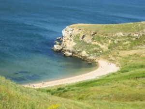 ����� 37. ���� � ����������� �����