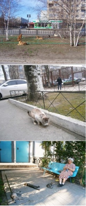 ������� � ����� ��������� ������