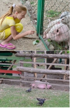 ��������� � ��������� ����� �� �����?