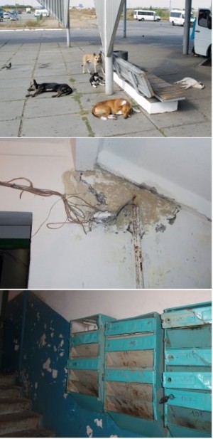 � �������� 2014 ���� � ���������� �������� �������� ��� �������� �����?