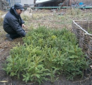 ����, �����, ������������ � � ������� ��� ���������� �����