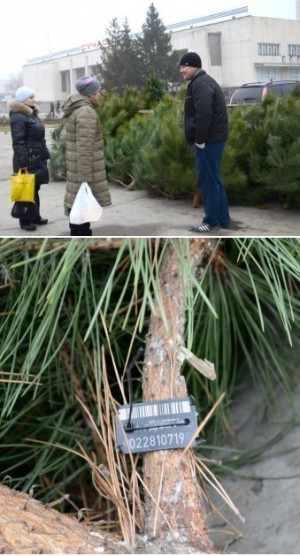 �� ����� �� ���� ���? ������, �� ������� ���������!