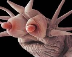 �� ��� ��������� ���������� ������ ���������� ���������� ��������