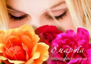 ������ �� ��������