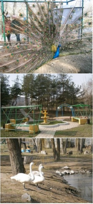 � ��������� ����� ���������� � ����� ������� � ������ ��� ����������