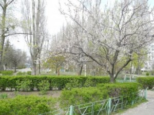 ����� �������� ��������?