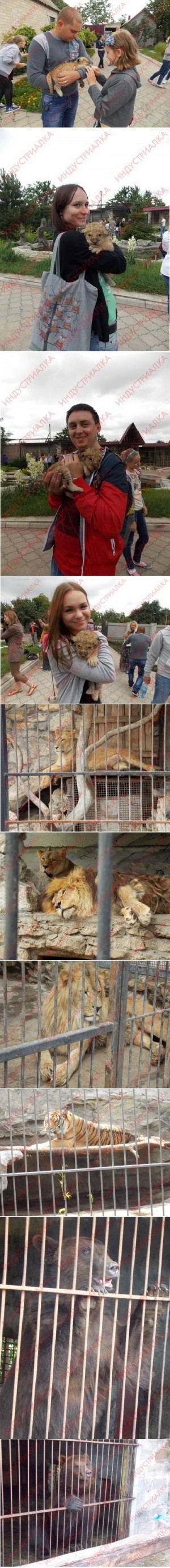 � ����������� �������� ������������� ����� ����� ����� �� ����� � ������������