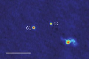 ����������� ���������� ������� ���� �������������� ������ ���