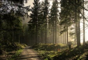 ���������� �������� �������� ����� ������ ��������� �� ����