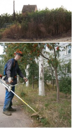 ������ � ��� �������� ��������