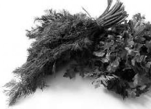 ������ �����