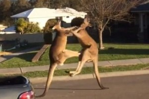 � ��������� �� ����� ��������� ������� - �����