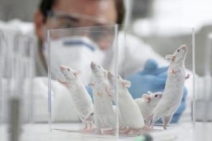 ������ ������ ������������ ������� ��������