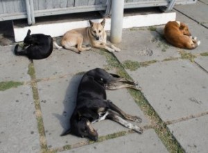 � ���������� �������� �� ������������ ��������� ��������