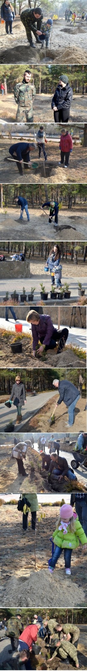 � ���������� �������� ����� � ����� ������ ���