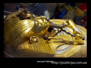 ����� ���������� ��������