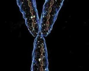 ������� ������� Y-��������� � ������