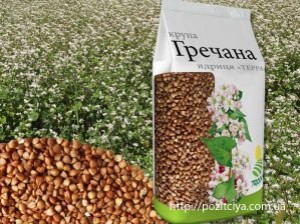 ��� �� �� � ������� ������