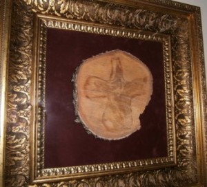 � ������� ���������� � ������������� ����� ������ �� ������