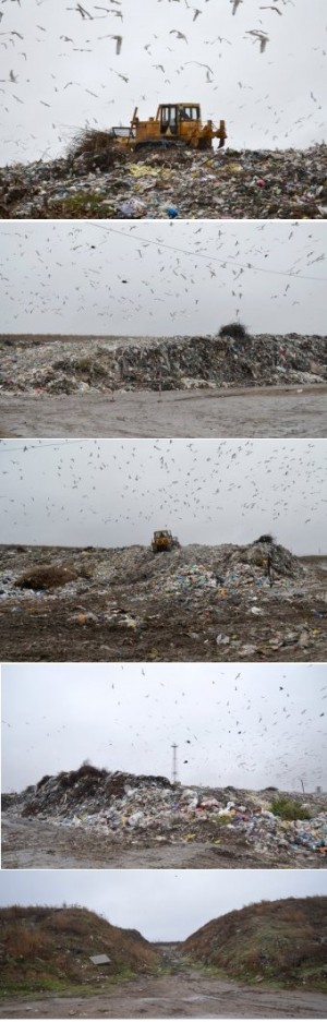 ��������� � ������ �� ���������. �� ������ ������ � ��������� � �������� ����� ����