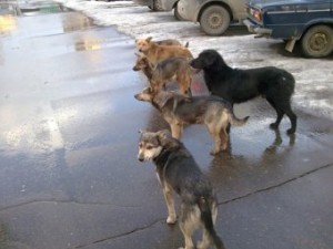 ��� ������� � ���������� ��������� �����?