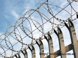 ����� ���� �����