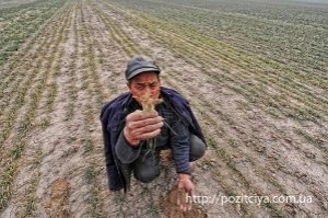 �������� ���������