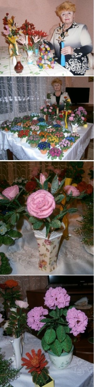 �����, �������� ������� � �����