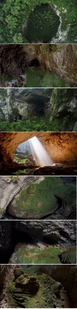 ��� �����������: �������������� ������ ����� ������� � ���� ������ - ����