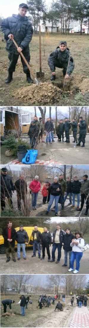 � ����� ������ ���