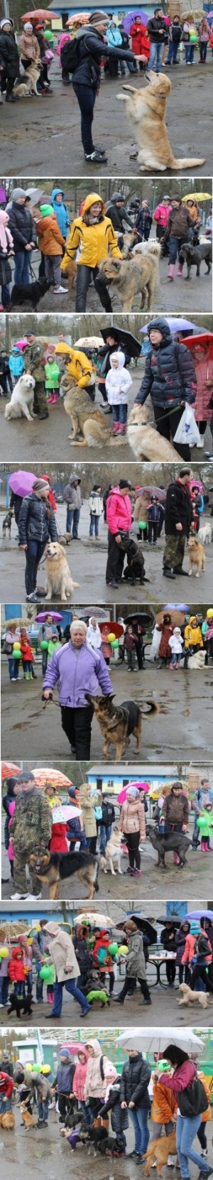 �������� ������ ����!�: �������� �������� ��������� ���� � ��������