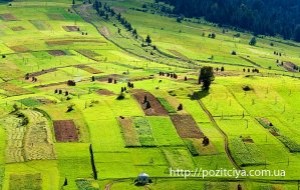 ������� �����