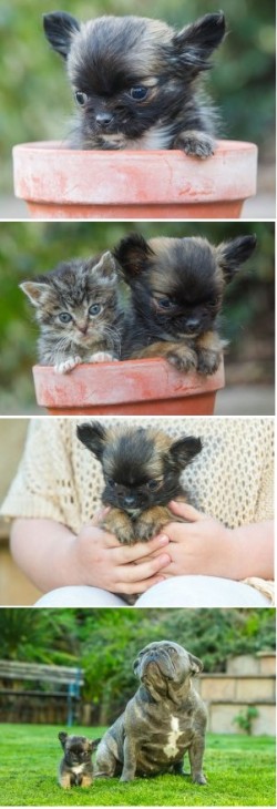 ����� ��������� ������� �������������� ���������� �� ������