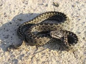 ������� ��������� ������� �����, ��� ��������� �� ������ ����