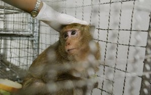 � ��� ����� ������� ���������� � ����� ��������������