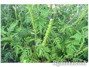 � ��������� ������� ����� �������� ��� ������ � ���������