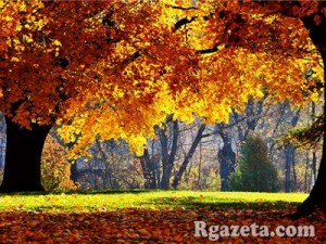 ������� ������ �� �����: ���� ��������� �� �������� �������, ��������� � �� �������, � ������ ����� ���������