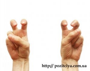 ������������ ���������