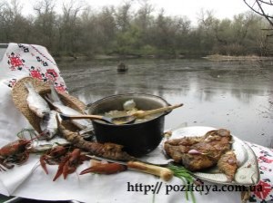 ���� �������