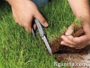 � ����������� ������� ����� �������� 54 ��������� ������ ��������