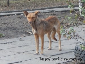 ������ ��� ����� ��������� ������!