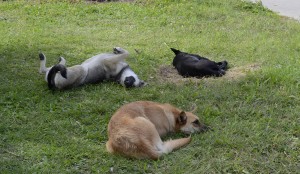 �������� ������ �������� � ����������