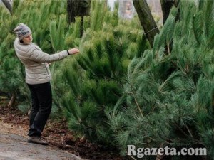 � ��������� ���� �� ������� ���������� ������ �������� �� 60 ������