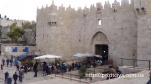 ���� �� ������