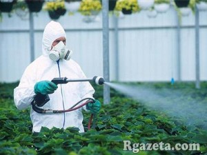 ������ �������� ��� �����