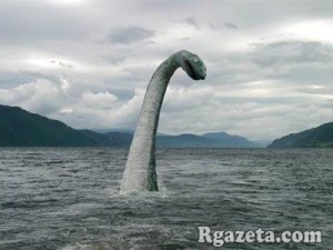 ���-������� �������� ���������� ������ ����� �����������