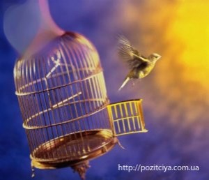 ������� ���������