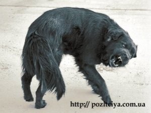 � ���� ����� �������� � ��������