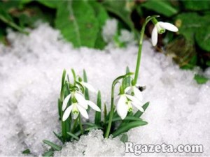 �����-2016 ����� ��������: ������� ������ �� �����