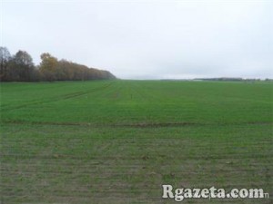 ��������� ������� ����������, ������ �������� �� 93% ��������